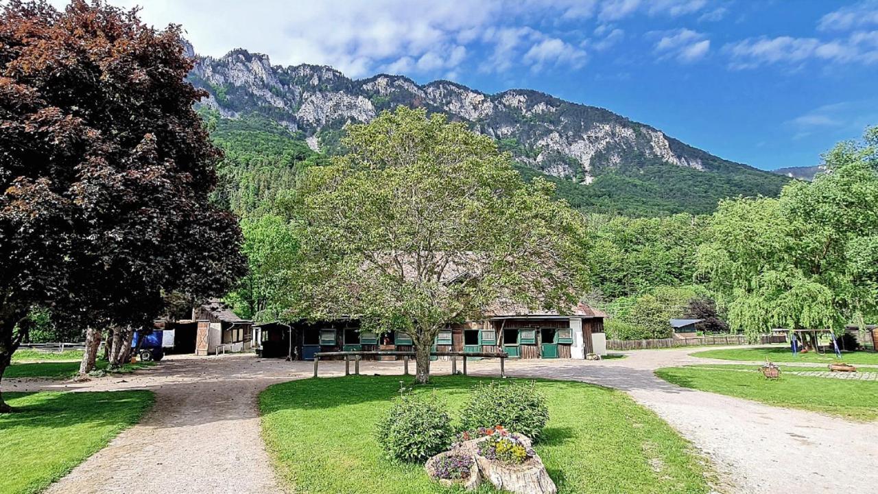 Appartement Muehle In Der Pferdewelt Reichenau Extérieur photo