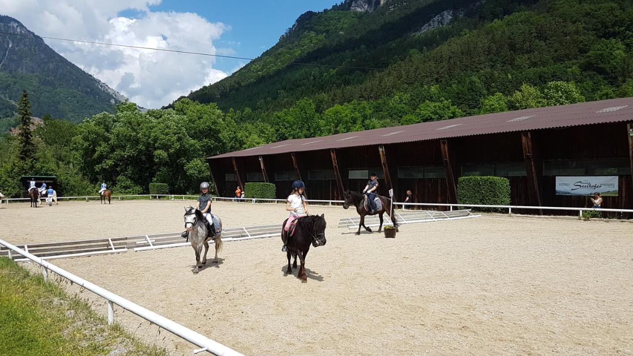 Appartement Muehle In Der Pferdewelt Reichenau Extérieur photo