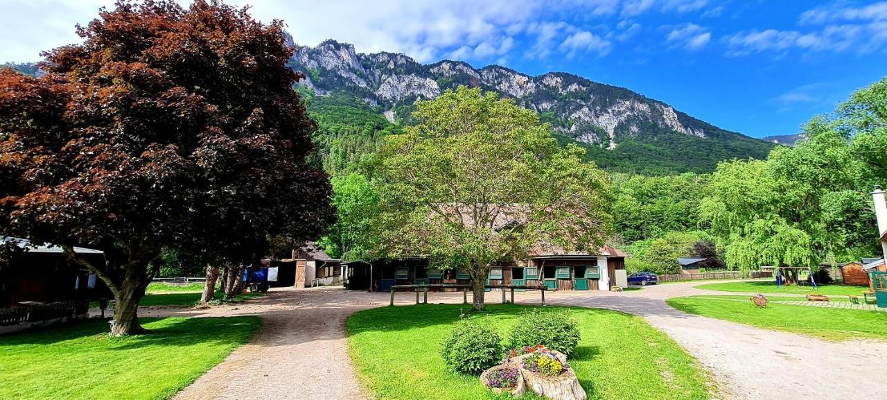 Appartement Muehle In Der Pferdewelt Reichenau Extérieur photo